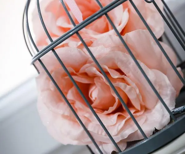 Appartement Brajutovci 26 Kornić