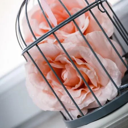 Apartman Brajutovci 26 Kornić