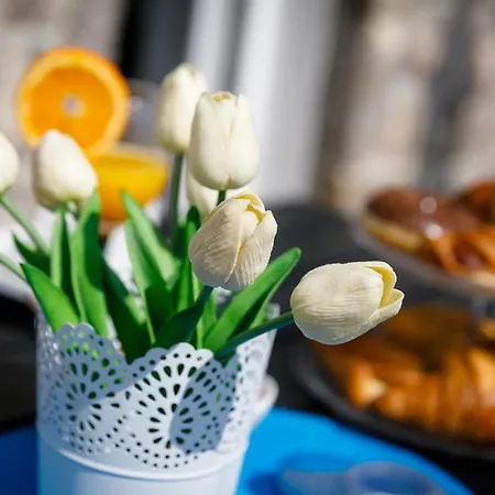 Brajutovci 26 Apartman Kornić